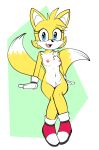  2022 2_tails anthro areola blue_eyes breasts canid canine clothing crossgender digital_media_(artwork) dipstick_tail eyelashes female footwear fours_(artist) fox front_view genitals gloves handwear hi_res mammal markings miles_prower mostly_nude mtf_crossgender multi_tail navel nipples open_mouth pussy sega simple_background solo sonic_the_hedgehog_(series) tail_markings 