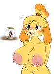  animal_crossing animated anthro big_breasts blush breasts canid canine canis domestic_cat domestic_dog felid feline felis female genitals isabelle_(animal_crossing) jar kralex macro male male/female mammal micro nintendo nude oblivious pussy shih_tzu size_difference toy_dog unaware undnift video_games 
