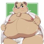  2022 anthro belly blush bodily_fluids brown_body bulge clothed clothing hi_res inigo_(kusosensei) kemono kusosensei male mammal moobs musk navel nipples obese obese_male open_clothing open_shirt open_topwear overweight overweight_male shirt solo sweat topwear underwear ursid 