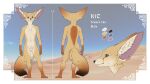  2022 animal_genitalia balls canid canine digital_media_(artwork) fennec fox fur genitals gloves_(marking) inner_ear_fluff ipoke leg_markings mammal markings model_sheet nude sheath socks_(marking) tuft yellow_body yellow_fur 