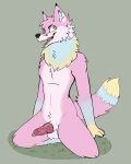  &lt;3 &lt;3_eyes anthro balls blue_body blue_fur canid canine erection evereden fox fur genitals girly hi_res kneeling knot male mammal open_mouth pink_body pink_fur solo yellow_body yellow_fur 