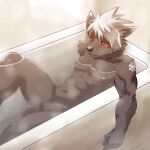  balls bath canid canine canis domestic_dog genitals hair hi_res lifewonders male mammal nikuanabe1998 nipples penis solo tadatomo tokyo_afterschool_summoners video_games water white_hair 