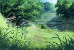  commentary_request damachitanu field flower grass highres hut no_humans original outdoors scenery tree water 