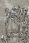  anthro bracelet_only breasts cadmiumtea duo eye_contact felid female graphite_(artwork) hi_res jewelry leopard looking_at_another male male/female mammal monochrome pantherine sepia simple_background snow_leopard traditional_media_(artwork) 