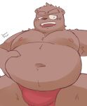  2022 absurd_res anthro belly blush clothing hi_res humanoid_hands jamiephut kemono male mammal moobs navel nipples overweight overweight_male red_clothing red_underwear simple_background solo underwear ursid white_background 