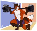  anthro bottomwear canid canine clothing digitigrade exercise fox looking_ahead male mammal mei5683 multi_arm multi_limb multi_tail shorts solo weightlifting weights workout 