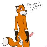  absurd_res anthro bluedmoka butt canid canine fox genitals hi_res knot male mammal penis solo 