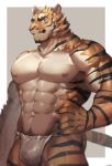  1boy 5cm_housamo abs absurdres animal_ears bara commentary_request fundoshi furry furry_male highres japanese_clothes large_bulge large_pectorals looking_at_viewer male_focus mature_male muscular muscular_male navel nipples original pectorals smile solo stomach tail tiger_boy tiger_ears tiger_tail topless topless_male 