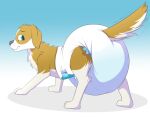  5:4 big_diaper blue_background blue_diaper blue_eyes bodily_fluids brown_body brown_ears brown_fur brown_tail bunnykisses canid canine canis chest_tuft concerned diaper domestic_dog feral floppy_ears fur genital_fluids glistening glistening_eyes gradient_background grey_nose leg_markings male mammal markings motion_lines multicolored_body multicolored_fur quadruped simple_background socks_(marking) solo tuft two_tone_body two_tone_fur urine wet_diaper wetting white_background white_body white_diaper white_fur white_tail 