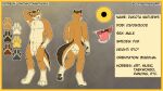  anthro canid canine character_description codymathews dakota_mathews fox hi_res male mammal nude reference_image solo 