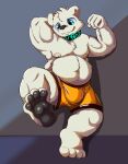  absurd_res aciag boxer_briefs clothing hi_res hindpaw humanoid male mammal neck_ring nipples on_one_leg overweight overweight_male paws solo standing underwear ursid white_body 