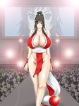  breasts cleavage huge_breasts inomaru king_of_fighters nipples panties sexy shiranui_mai snk underwear 
