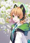  1girl :d absurdres black_jacket blonde_hair blue_archive blue_necktie bow branch breasts cat_ear_headphones collared_shirt eyebrows_visible_through_hair falling_petals flower green_bow green_eyes green_jacket grey_background hair_bow halo headphones highres hood hood_down hooded_jacket jacket looking_at_viewer medium_hair midori_(blue_archive) multicolored_clothes multicolored_jacket necktie open_clothes open_jacket petals shirt simple_background small_breasts smile solo upper_body white_flower white_jacket white_shirt wind xuya2333 