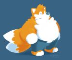  2014 2_tails anthro biped blue_background bottomwear canid canine clothing eyes_closed fox greenendorf male mammal miles_prower multi_tail overweight overweight_male sega shorts simple_background solo sonic_the_hedgehog_(series) white_body 