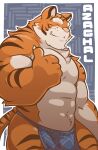  2008 anthro asian_clothing biped blue_clothing blue_fundoshi blue_underwear clothing east_asian_clothing eyes_closed felid fundoshi greenendorf humanoid_hands japanese_clothing male mammal muscular muscular_male orange_body pantherine pink_nose solo tiger underwear 