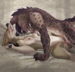  2022 5_fingers anthro anthro_on_anthro anthro_penetrated anthro_penetrating anthro_penetrating_anthro balls bed_sheet bedding bite black_hair black_nose black_pawpads bodily_fluids breasts brown_body brown_fur butt canid canine canis clenched_teeth coyote dominant dominant_male drooling duhveed_(gaypyjamas) duo ear_bite eyes_closed fangs female female_on_bottom female_penetrated fingers from_front_position fur gaypyjamas genital_fluids genitals grabbing_sheets hair hi_res humanoid_hands hyaenid lying male male/female male_on_top male_penetrating male_penetrating_female mammal missionary_position navel nipples nude on_back on_bottom on_top pawpads penetration penile penile_penetration penis penis_in_pussy pussy pussy_juice pussy_juice_on_penis saliva saliva_on_breasts saliva_string sex signature spots spotted_body spotted_fur spotted_hyena spread_legs spreading submissive submissive_female tan_body tan_fur tears tears_of_pleasure teeth tongue tongue_out vaginal vaginal_penetration zeekerz 