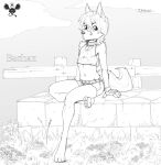  anthro bachy black_and_white bottomwear canid canine clothing crop_top eldiman english_text fence fingerless_gloves fox girly gloves grass handwear hi_res looking_at_viewer male mammal monochrome navel outside plant shirt shorts signature sitting slim solo text topwear 