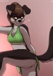  2022 anthro bite biting_lip biting_own_lip black_body black_fur blush border_collie bottomwear bra breasts brown_hair canid canine canis clothed clothing colleen_(stargazer) collie digital_media_(artwork) domestic_dog eyelashes female fur genitals hair herding_dog hi_res looking_at_viewer mammal miniskirt multicolored_body multicolored_fur no_underwear pastoral_dog presenting presenting_pussy pussy self_bite sheepdog signature simple_background skirt solo sports_bra stargazer two_tone_body two_tone_fur underwear upskirt white_body white_fur 