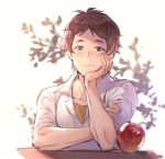  1boy aaron_(granblue_fantasy) apple brown_hair closed_mouth collared_shirt elbow_rest food freckles fruit granblue_fantasy hand_on_own_cheek hand_on_own_chin hand_on_own_face head_rest highres looking_at_viewer male_focus mansu red_apple shirt short_hair simple_background smile solo white_shirt 