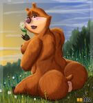  anthro anus blush breasts embarrassed_nude_female female flower genitals hentai_boy mammal nature outside overweight plant pussy solo ursa ursid 