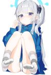  1girl ass blue_archive blue_halo blue_hoodie blush braid closed_mouth grey_hair halo highres hood hoodie idemitsu knees_together_feet_apart knees_up legs long_hair long_sleeves looking_at_viewer miyako_(blue_archive) no_shoes official_alternate_costume one_side_up panties purple_eyes socks soles solo striped striped_socks underwear white_panties 