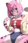  1girl animal_ears bra breasts denim denim_shorts etivka furry furry_female green_eyes highres jacket large_breasts looking_at_viewer navel open_clothes open_jacket original pink_fur pink_hair red_bra short_hair short_shorts shorts simple_background solo spread_legs tail tiger_ears tiger_girl tiger_tail underwear white_background white_jacket 