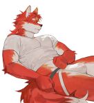 2024 anthro bulge canid clothing eyes_closed fur hair hi_res jockstrap male mammal multicolored_body multicolored_fur shirt simple_background solo tail topwear two_tone_body two_tone_fur underwear yuuko891