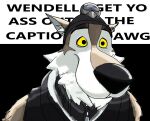 2024 anthro black_background canid canine canis close-up clothed clothing english_text epic_games eyebrows fortnite fur hat headgear headwear hi_res humor male mammal meme profanity simple_background smile snipeyfox snout solo text tuft wendell_(fortnite) white_background wolf