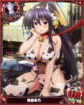  1girl animal_ears animal_print bell bikini black_hair blush breasts card_(medium) chess_piece collar cow_ears cow_horns cow_print fake_animal_ears fake_horns garter_straps hair_between_eyes heart high_school_dxd himejima_akeno horns large_breasts leash neck_bell official_art ponytail purple_eyes queen_(chess) solo swimsuit thighhighs 