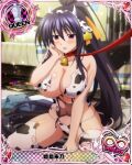  1girl animal_ears animal_print bell bikini black_hair blush breasts card_(medium) chess_piece collar cow_ears cow_horns cow_print fake_animal_ears fake_horns garter_straps hair_between_eyes heart high_school_dxd high_school_dxd_infinity himejima_akeno horns large_breasts leash neck_bell official_art ponytail purple_eyes queen_(chess) solo swimsuit thighhighs torn_clothes 