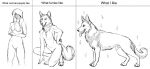  animal_genitalia anthro biped black_and_white breasts canid canine canis cheek_tuft chest_tuft digitigrade domestic_dog english_text facial_tuft fangs female feral fluffy fluffy_tail genitals german_shepherd group hair herding_dog human hybernation inner_ear_fluff kneeling long_hair looking_at_viewer male mammal monochrome nipples open_mouth pastoral_dog quadruped sheath sparkles standing text tongue tongue_out tuft 