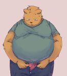 2024 absurd_res anthro bari_mu bear belly big_belly bottomwear brown_body brown_fur clothing fur hi_res humanoid_hands kemono male mammal overweight overweight_male pants shirt simple_background solo topwear
