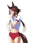  1girl absurdres animal_ears blush brown_eyes brown_hair buruma closed_mouth clothes_lift commentary_request cowboy_shot ears_down gym_shirt gym_uniform hair_over_one_eye hand_up highres horse_ears horse_girl horse_tail lifted_by_self long_hair multicolored_hair puffy_short_sleeves puffy_sleeves red_buruma senchan_7 shirt shirt_lift short_sleeves silk solo standing streaked_hair summer_uniform sweat tail tracen_training_uniform umamusume v-shaped_eyebrows very_long_hair vodka_(umamusume) white_background white_hair white_shirt wiping_sweat 