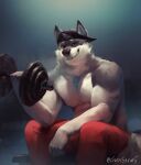 anthro bottomwear canid canine canis civetstranj clothing detailed dumbbell fur furgonomic_hat grey_body grey_fur gym hat headgear headwear hi_res male mammal muscular muscular_anthro muscular_male pants sitting smile solo weights wolf