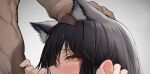  1boy 1girl abs absurdres adjusting_hair animal_ear_fluff animal_ears arknights black_hair blurry blurry_background blush close-up commentary_request completely_nude cropped depth_of_field extra_ears eyelashes from_side furrowed_brow groin hair_between_eyes hand_on_another&#039;s_head hands_up hetero highres implied_fellatio indoors looking_at_another looking_up lower_body muscular muscular_male navel nude paid_reward_available portrait profile sidelocks solo_focus standing stomach sweat tab_head texas_(arknights) wolf_ears wolf_girl yellow_eyes 