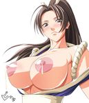  big_breasts cum king_of_fighters lactation large_breasts nori_heita noriheita sexy shiranui_mai snk 