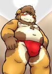  2022 anthro asian_clothing belly blush brown_body bulge canid canine canis clothing domestic_dog east_asian_clothing fundoshi green_eyes hi_res humanoid_hands japanese_clothing kemono male mammal moobs navel nipples overweight overweight_male red_clothing red_fundoshi red_underwear reddo12340 solo underwear young 