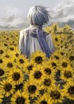  1boy absurdres blue_hair blue_scarf cloud cloudy_sky coat commentary field floating_hair flower flower_field from_behind high_collar highres ill_0619 kaito_(vocaloid) male_focus scarf short_hair sky solo standing sunflower sunflower_field symbol-only_commentary vocaloid white_coat 