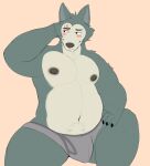 anthro beastars belly blush bulge canid canine canis chromawolf claws clothing hi_res legoshi_(beastars) male mammal navel nipples overweight overweight_male pecs rubbing_head scar slightly_chubby solo thick_thighs underwear wolf