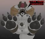  2022 anthro anus balls big_pecs biped black_pawpads black_penis canid canine claws clothing dialogue digital_media_(artwork) digitigrade elden_ring english_text feet fingerless_gloves foot_focus fromsoftware fur genitals gloves grey_background grey_balls grey_body grey_fur gurranq_(elden_ring) handwear hi_res holding_object hood humanoid_genitalia humanoid_penis male mammal nipples pawpads pecs penis simple_background solo spurr talking_to_viewer text toe_claws video_games 
