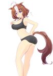  1girl ahoge animal_ears ass baika bare_shoulders black_bra black_panties black_sports_bra bra breasts brown_hair cleavage commentary_request feet_out_of_frame hair_ornament hairband hand_on_own_hip highres horse_ears horse_girl horse_tail large_breasts meisho_doto_(umamusume) multicolored_hair panties purple_hairband simple_background solo sports_bra streaked_hair tail umamusume underwear white_background white_hair 