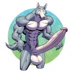 2024 absurd_res anthro balls beastars big_balls big_penis canid canine canis erection genitals hi_res humanoid_genitalia humanoid_penis legoshi_(beastars) looking_at_viewer male mammal muscular muscular_anthro muscular_male nipples nude penis solo vein veiny_penis wolf wolfiecanem