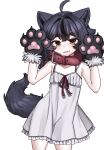  1girl animal_collar animal_ears animal_hands black_hair body_freckles collar dress fang fangs freckles frilled_dress frills gloves hands_up looking_at_viewer medium_hair multicolored_hair original paw_gloves short_dress skin_fang sleeveless sleeveless_dress tail thick_eyebrows two-tone_hair white_dress wolf_ears wolf_girl wolf_tail wolfie yellow_eyes 