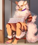  anthro arcanine bdsm bodily_fluids bondage bound chair collar collar_only colored container digital_drawing_(artwork) digital_media_(artwork) drooling eating fluffy fluffy_chest fluffy_hair fluffy_tail food furniture generation_1_pokemon hair hi_res inflation kuroran male nintendo nude pizza pizza_box pokemon pokemon_(species) purple_collar saliva solo solo_focus stuffing tail 