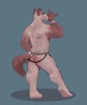  absurd_res angry anthro barazoku brown_body brown_tail butt canid canine canis clothing feet green_jockstrap hi_res jockstrap male male/male mammal muscular muscular_anthro muscular_male nipples paws pecs pinup pose snaftfc solo tan_body underwear white_body wolf 