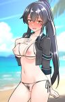  1girl beach bikini black_bikini black_hair blue_sky blurry blurry_background brown_eyes crotchless crotchless_bikini cupless_bikini day embarrassed female_pubic_hair furaggu_(frag_0416) hair_between_eyes high_ponytail highres kantai_collection long_hair looking_at_viewer navel nipples ocean outdoors ponytail pubic_hair pussy side-tie_bikini_bottom sidelocks sky solo swimsuit very_long_hair yahagi_(kancolle) yahagi_kai_ni_(kancolle) 