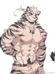  1boy abs animal_ears arknights artist_request bara barbell_piercing boxer_briefs cowboy_shot facial_hair furry furry_male goatee highres large_pectorals leng_sediao_kafei looking_at_viewer male_focus male_underwear mountain_(arknights) muscular muscular_male nipples pectorals piercing scar scar_across_eye scar_on_arm short_hair solo thick_eyebrows tiger_boy tiger_ears topless_male underwear veins veiny_arms white_hair white_male_underwear 