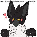  avian beak blush circle_eyebrows eyebrows feathered_wings feathers feral front_view gryphon mythological_avian mythological_creature mythology smile smirk solo symrea telegram_sticker white_body wings yellow_eyes 