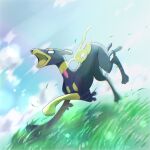  animal_focus black_eyes blank_eyes blue_sky chromatic_aberration cloud commentary_request constricted_pupils day dog full_body grass highres no_humans open_mouth outdoors pokemon pokemon_(creature) riding rize_(r) running sky tears white_eyes wide-eyed zygarde zygarde_(10) zygarde_core 