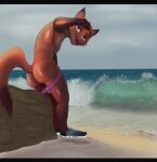  anthro beach butt canid canine clothed clothing disney fox hi_res kurtis496 male mammal nick_wilde partially_clothed presenting presenting_hindquarters raised_tail sea sky slim solo tail teasing teasing_viewer thong thong_down thong_only topless underwear underwear_only water wave zootopia 